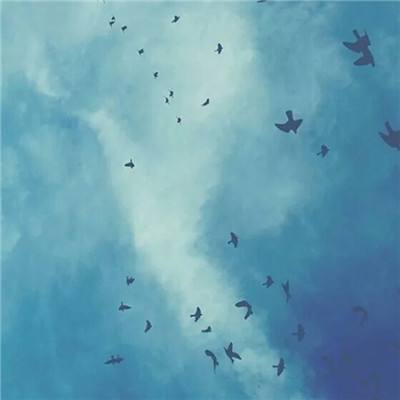幽幽白书ol安卓手机版(暂未上线)v1.5.1 安卓版